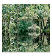 Sergio Kovacevick, CASACOR, Fotografia Fine Art para Decoração, Save the Forest, Save the Atlantic Forest, Mata Atlântica, Amazônia, Amazon Rainforest, Atlantic Forest, Amazon, Floresta, Forest, Verde, Green, Ecologia, Natureza, Série Original, Decore com Fotografia, Decoração, Quadros com fotografia…