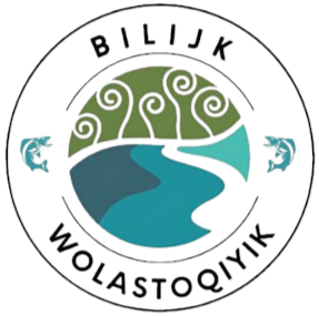 Bilijk web - for Dev.png