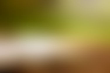 Uei U Mynsiem Bakhuid?