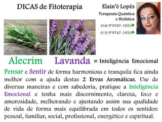 Dicas de FITOTERAPIA