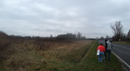 20220119_125617.jpg