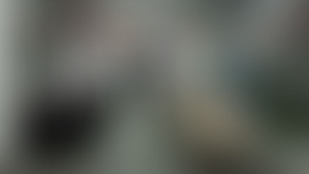 Galeria 5ª Avenida Center e ONG Patas Dadas promovem feira de adoção