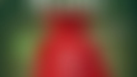 REGULAMENTO PROMOÇÃO SORTEIO DE NATAL DIGITAL