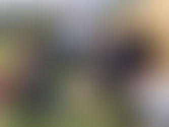 【🌲熊本県内無料キャンプ場情報🏕️】