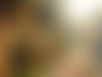 お寺でキャンプ。