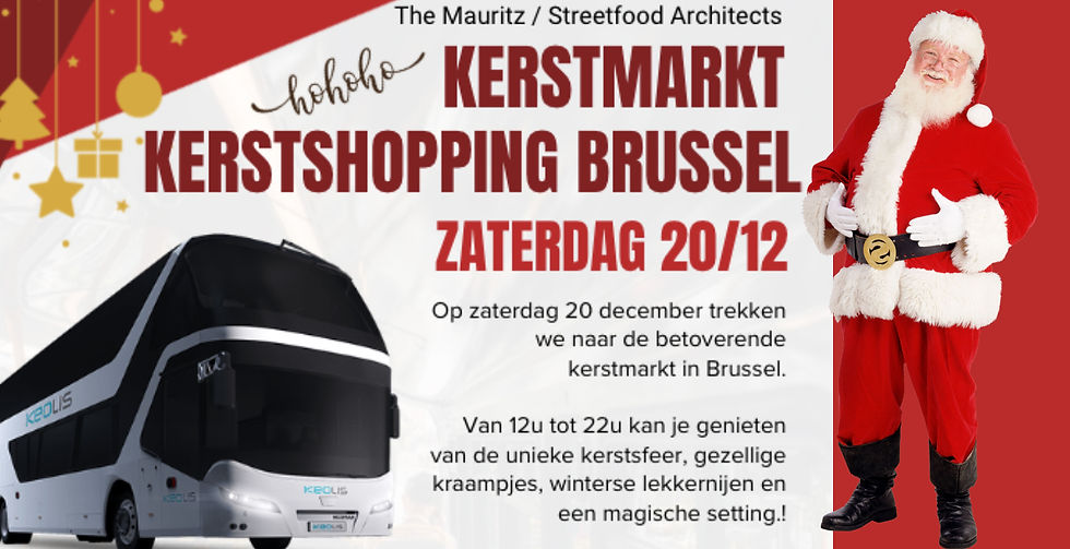 Kerstmarkt / Kerstshopping Brussel