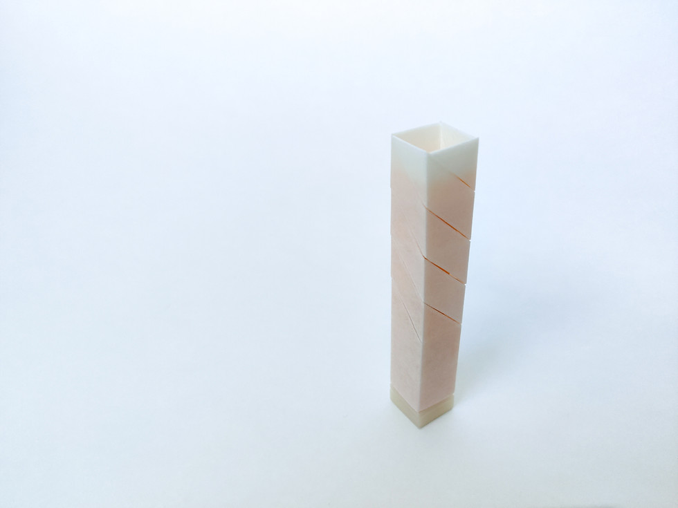 Thumbnail: White Tulip