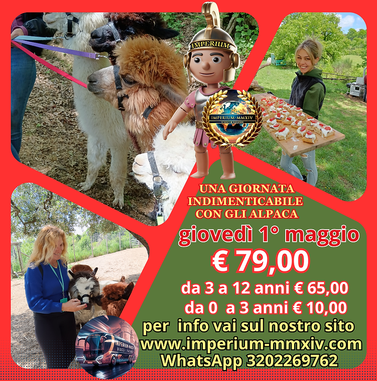 una giornata indimenticabile con gli Alpaca (2).png