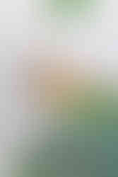 Blonde woman with a pony tail and ear pods sitting on a desk and talking to someone on the mac book online