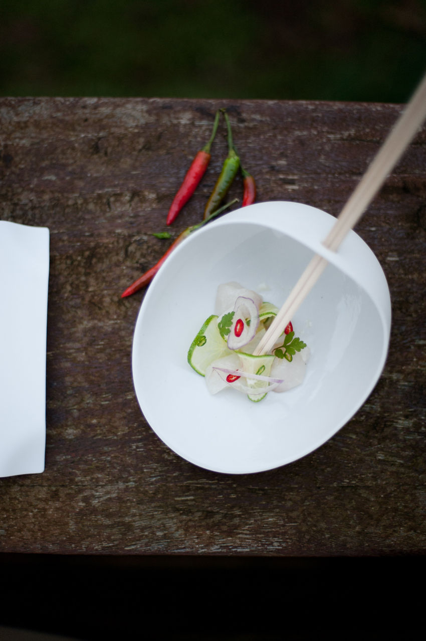 Miniatura: Cookplay tableware design tabletop ana roquero