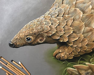 pangolin (1).jpg