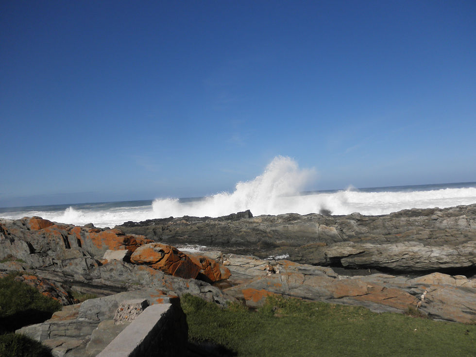 Tsitsikamma National Park