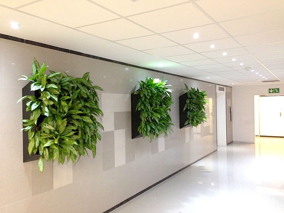 Wall_Module_Planter.jpg