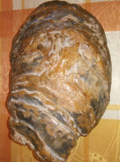 IMG_20201115_172138.jpg