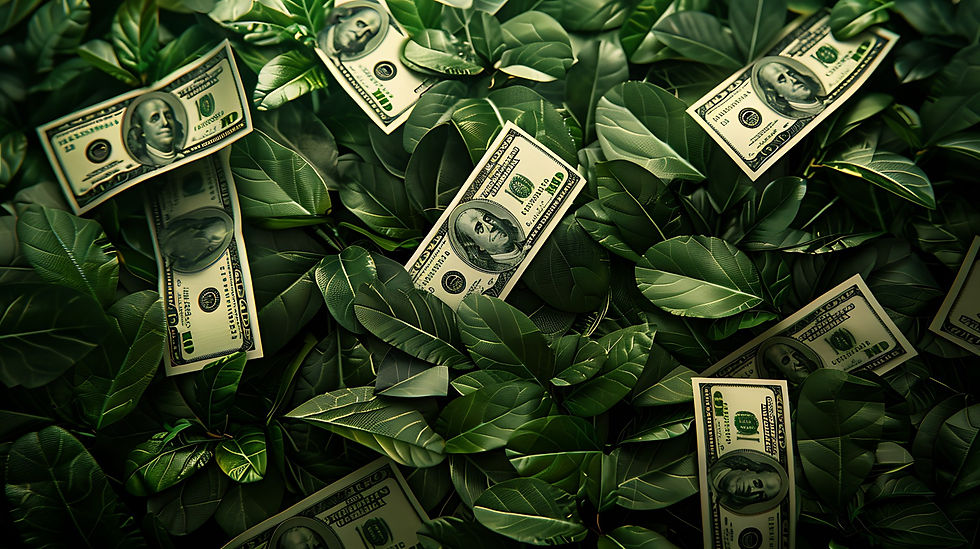dollar-banknote.jpg