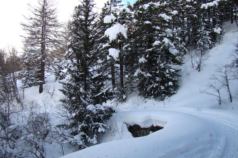 Con le ciaspole da Monfol per Montagne Seu