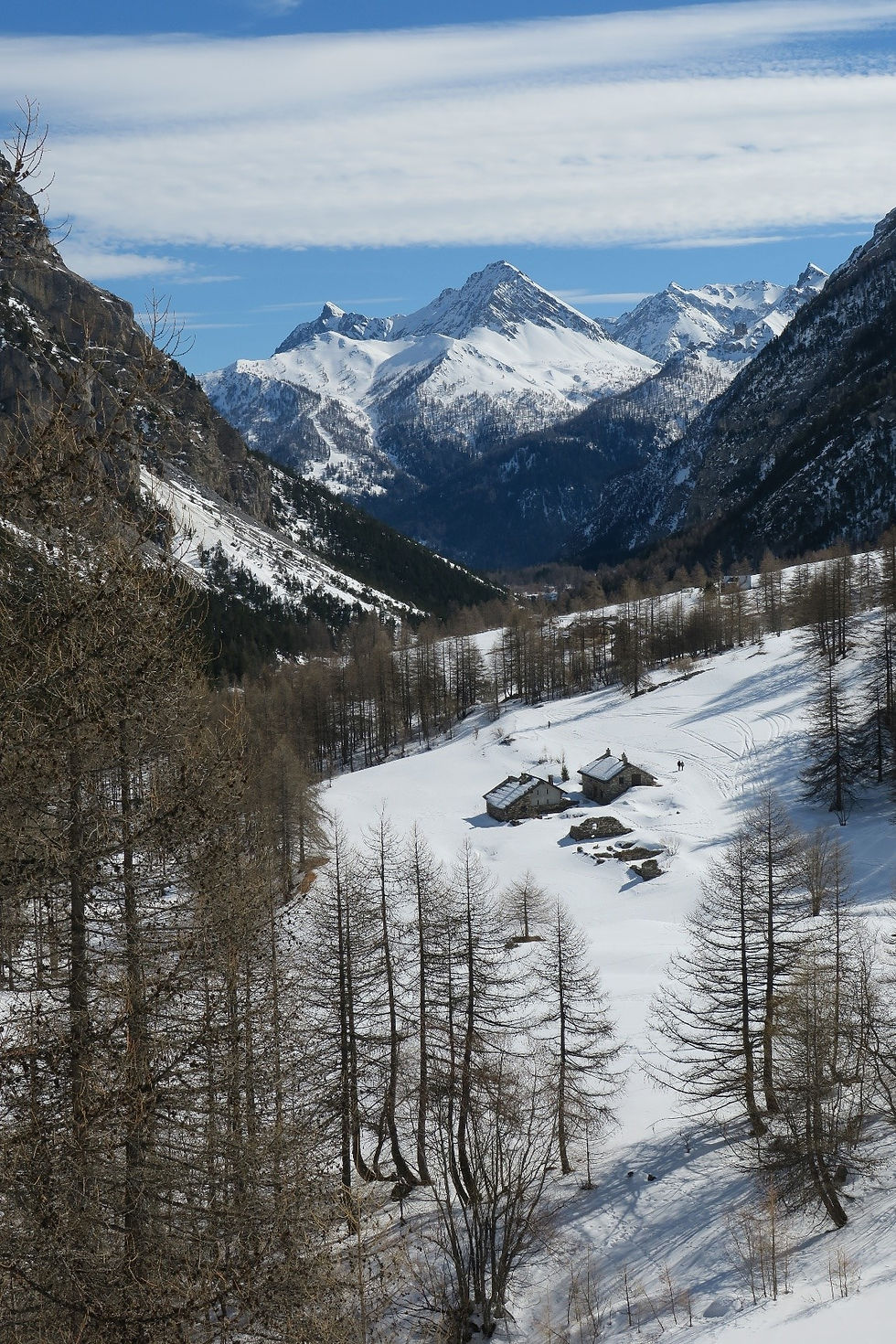 Fig. 14 - Veduta della Valle Stretta, verso Bardonecchia