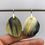 Thumbnail: Water Buffalo Horn Earrings in 18k Recycled Yellow Gold