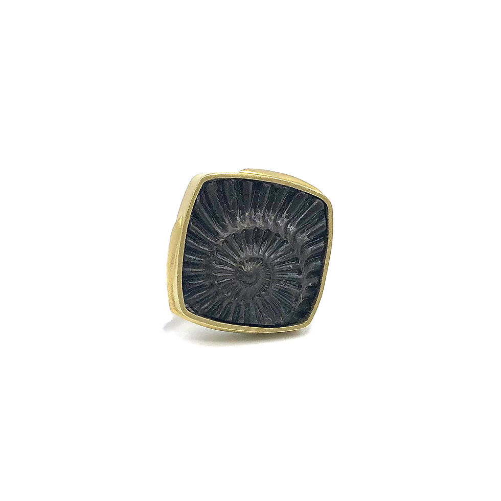 Thumbnail: Fossil Ammonite Amazon Ring in 18k Recycled Yellow Gold