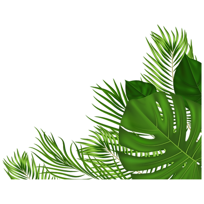 Untitled design (9).png