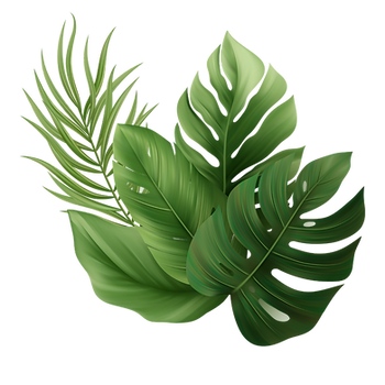 Palm leaves Tracey Ohata