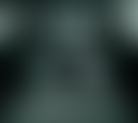 Valentine's Limousine+Roses