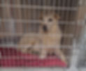 thumbnail_20221010_160723.jpg