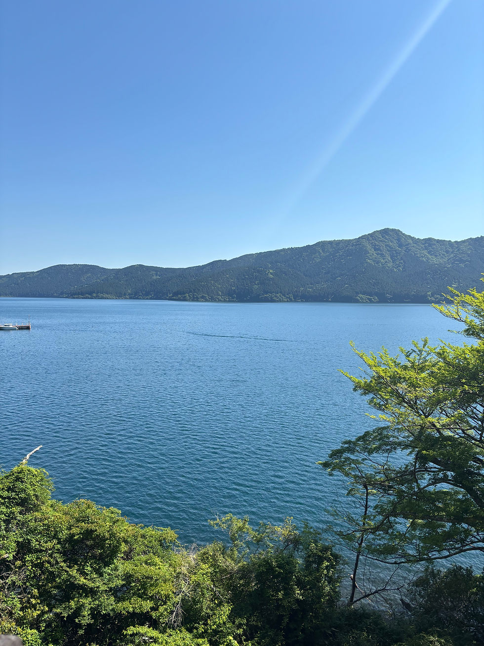 龍神様に会えた気がする