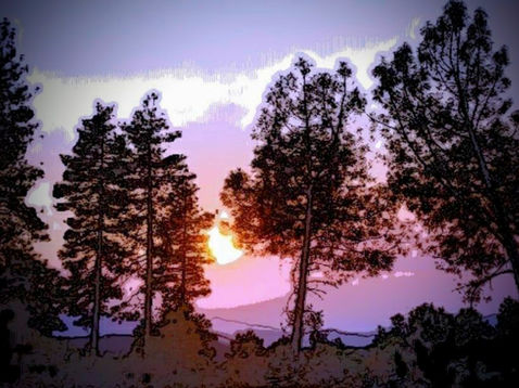 How to Incorporate Wildlife-Inspired Art into Your Home or Office for a Nature-Connected Lifestyle