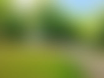 Healthy Living in Nature: Benefits of Adult-Only Campgrounds