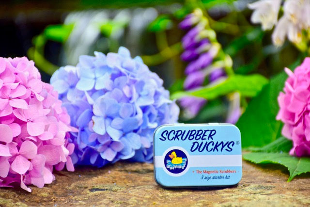 Go Green With a Reusable Cleaning Kit for Glass Surfaces