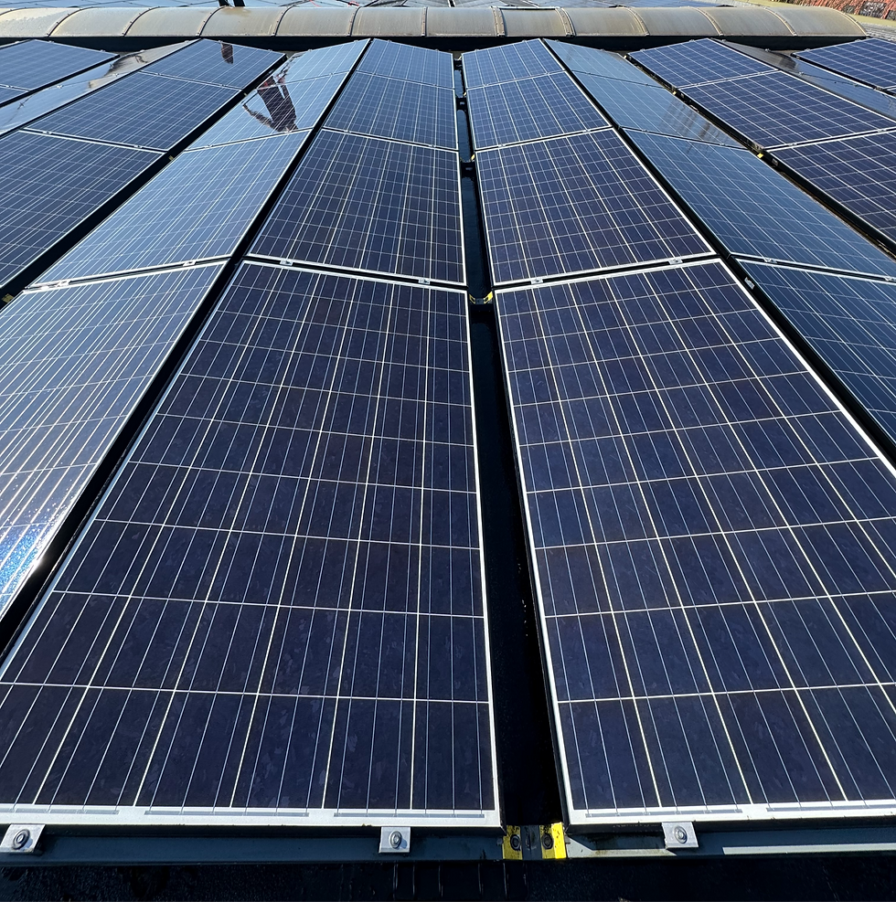 ZONNNEPANELEN_edited.png