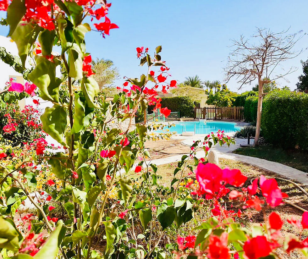 Thumbnail: Luxury 2 Bedroom Villa For Rent Nabq