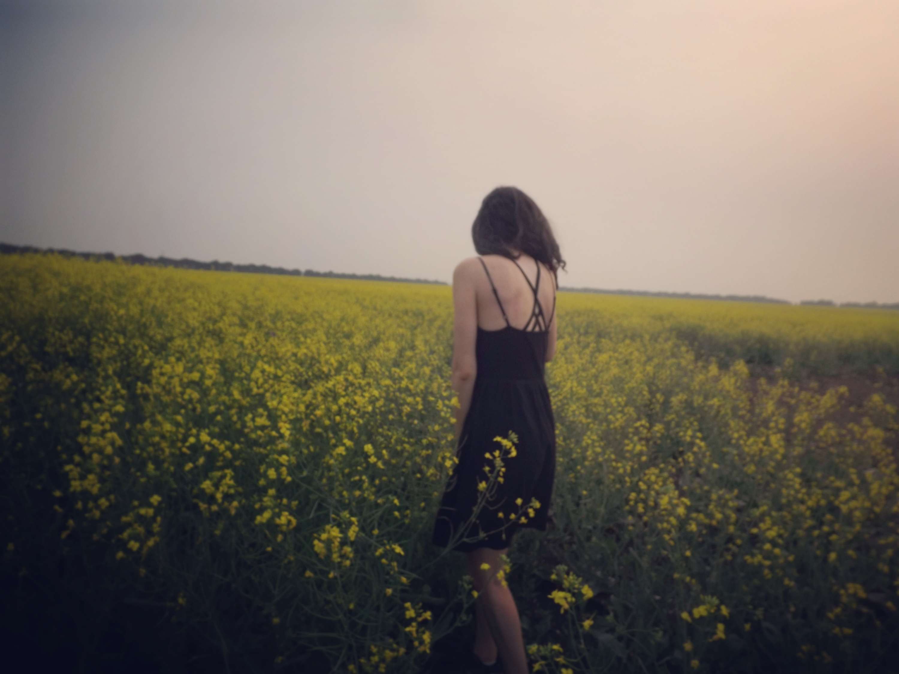 Writer: Sunflower Soul