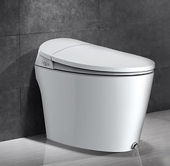 toilet bowl