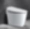 toilet bowl