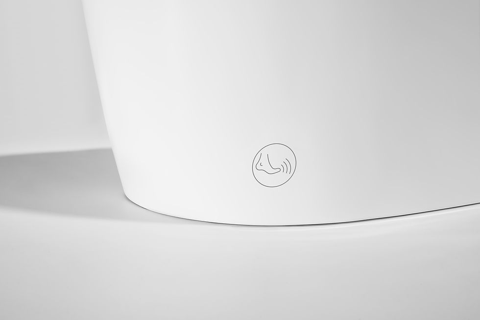 Thumbnail: DFK1005 Smart Toilet with Water Tank