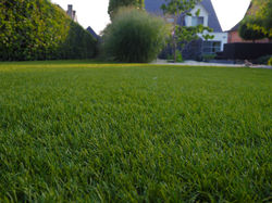 realisatie Beringen