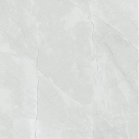 Muestra de palmeta de PORCELANATO 60X60 CM GRIS BOREAL