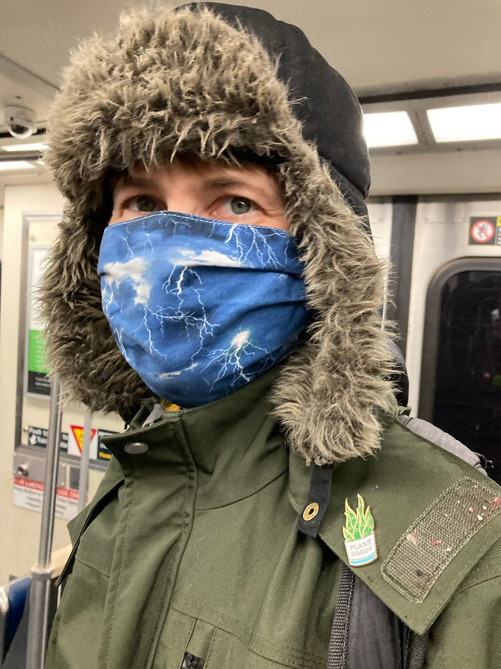 a plant daddy wannabe in NYC (pc: Ambrose)