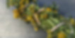 routa2.jpeg