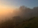 IMG_3733.jpeg