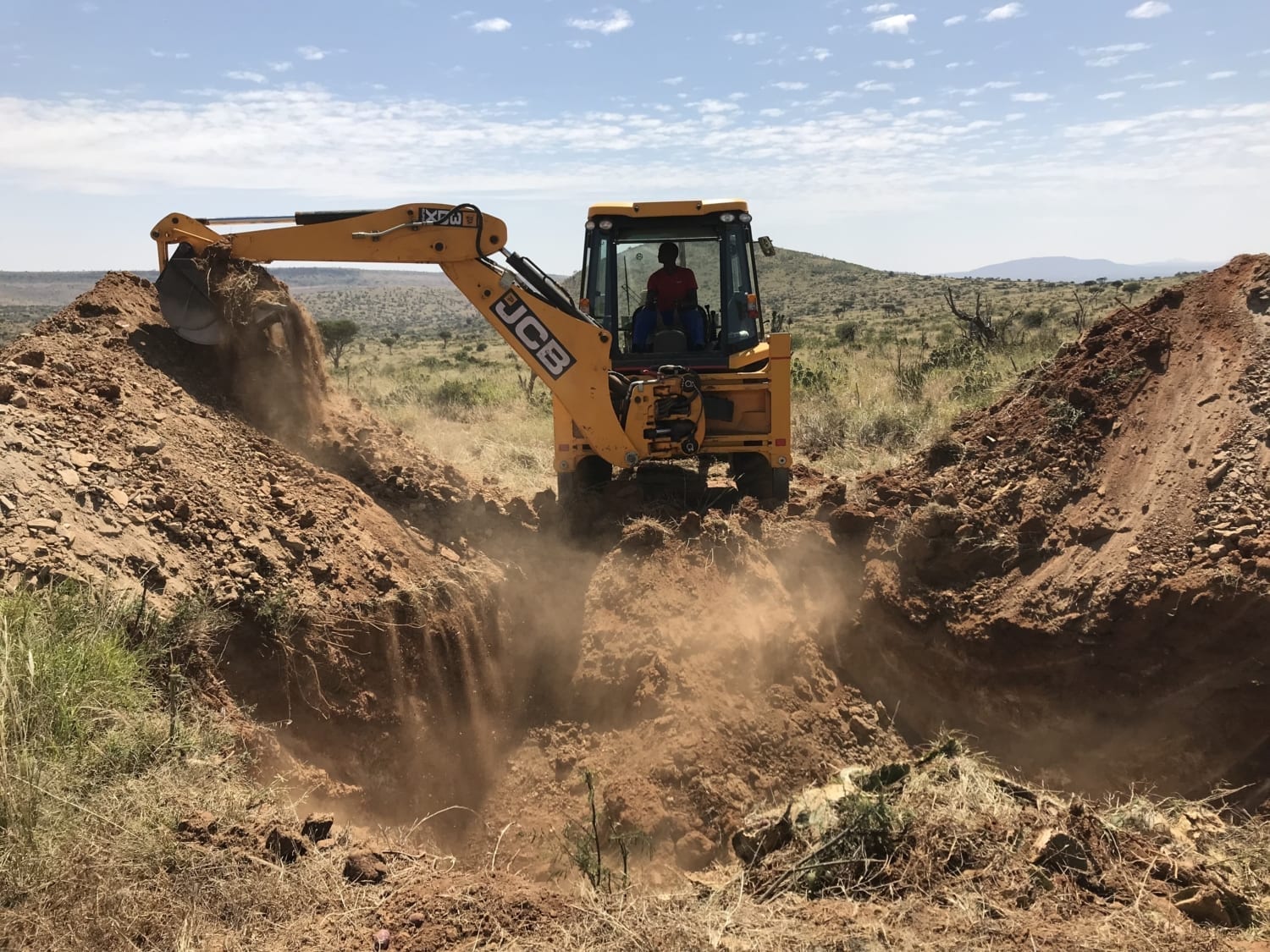 The JCB backhoe burying the cactus. Photo: Hannah Campbell