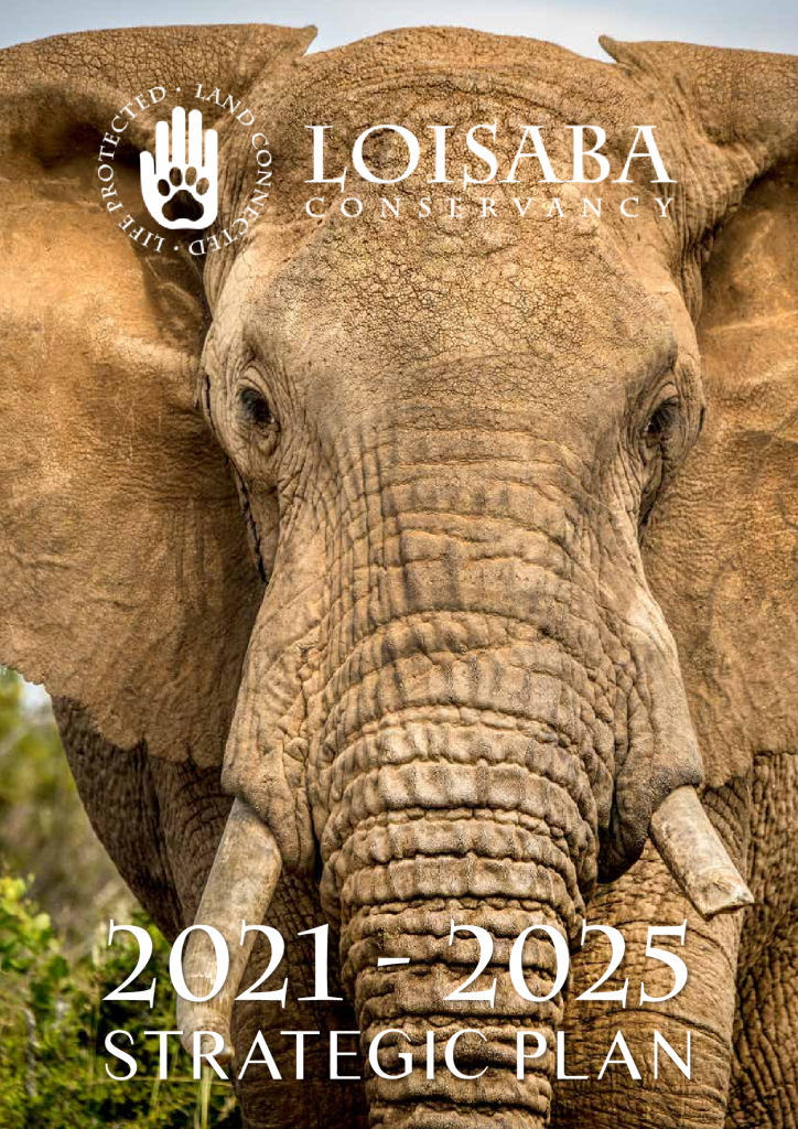 thumbnail of Loisaba Conservancy 2021-2025 Strategic Plan