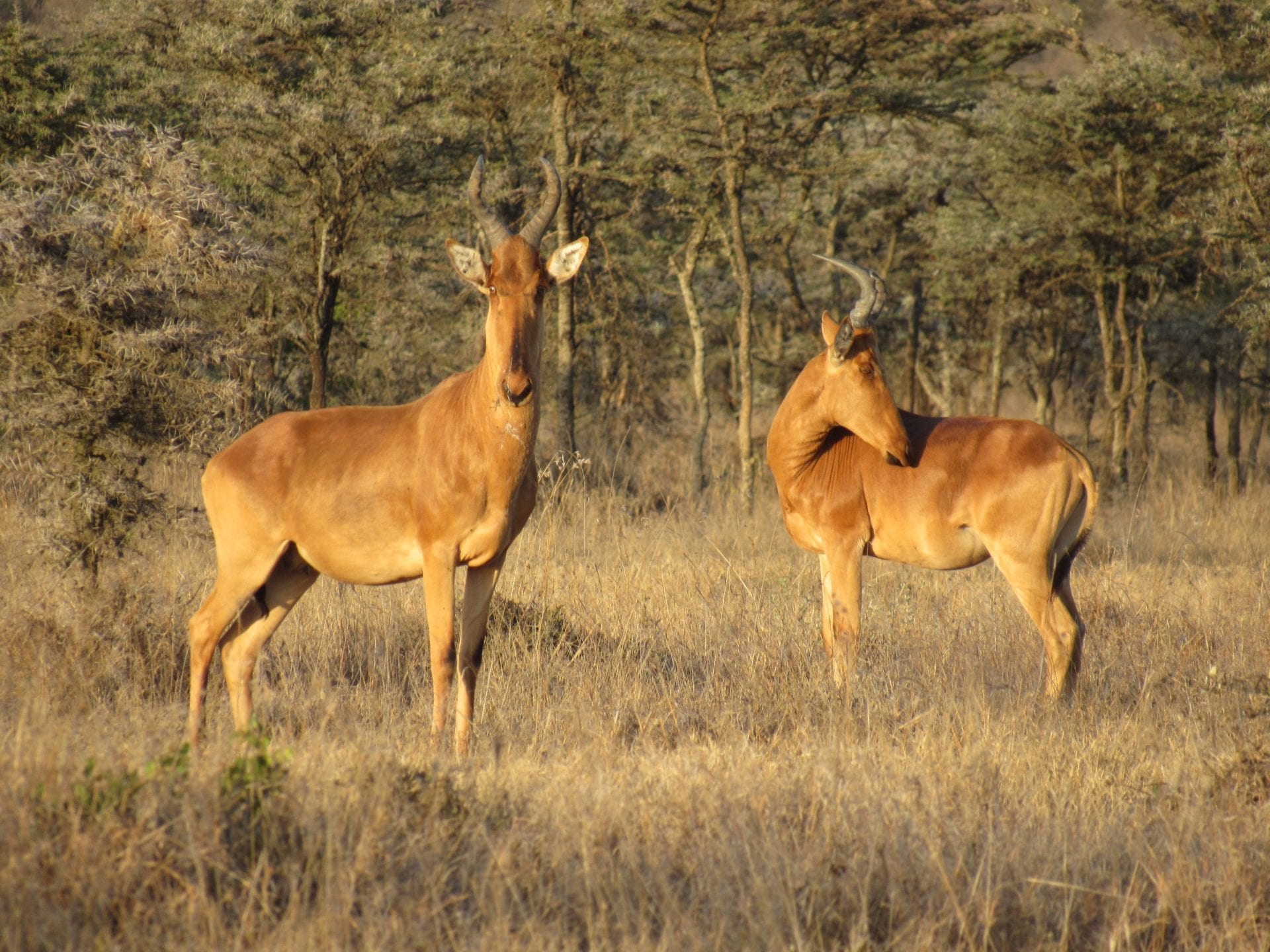 Photo: Hannah Campbell