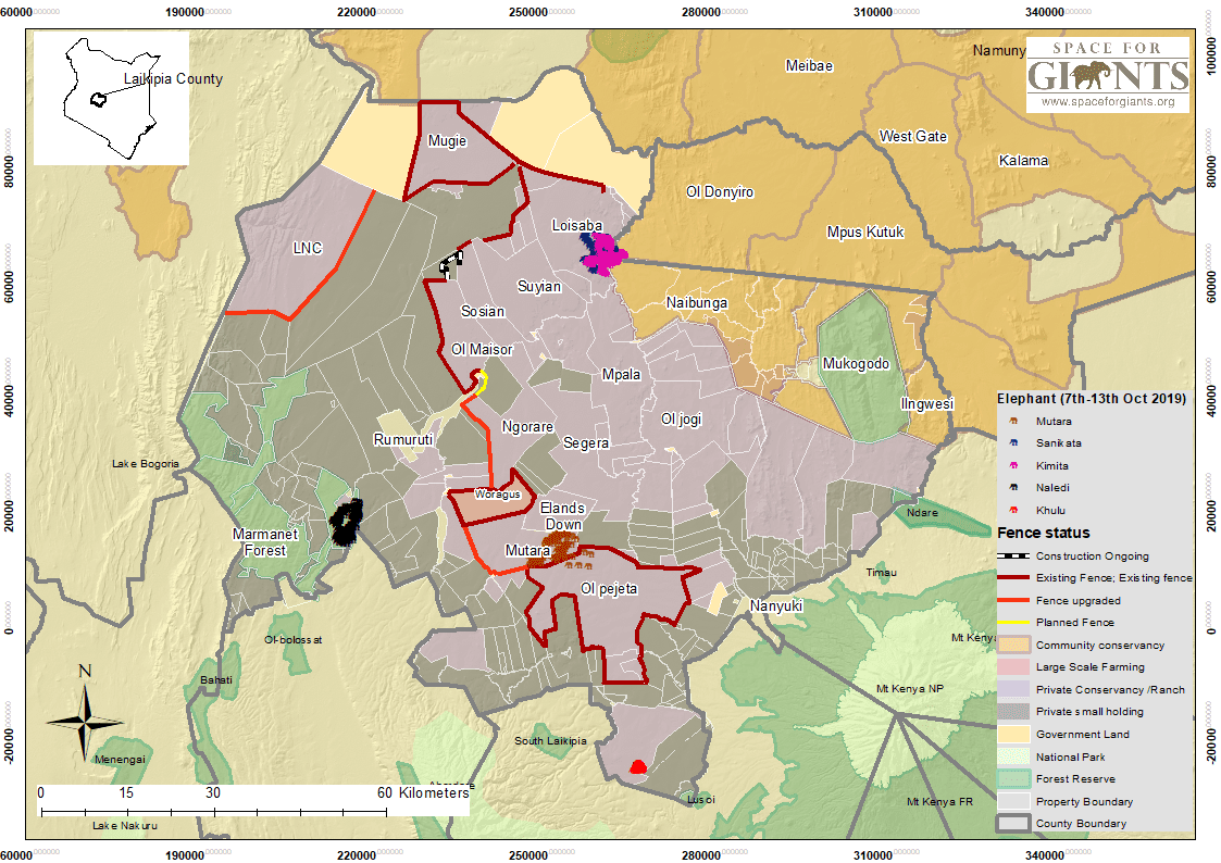 Map to show elephants known as Kimita and Sankata at Loisaba during October 2019. Map © Space for Giants