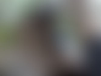 Elephants on the frontline