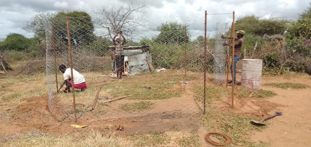 Installation of a predator proof boma