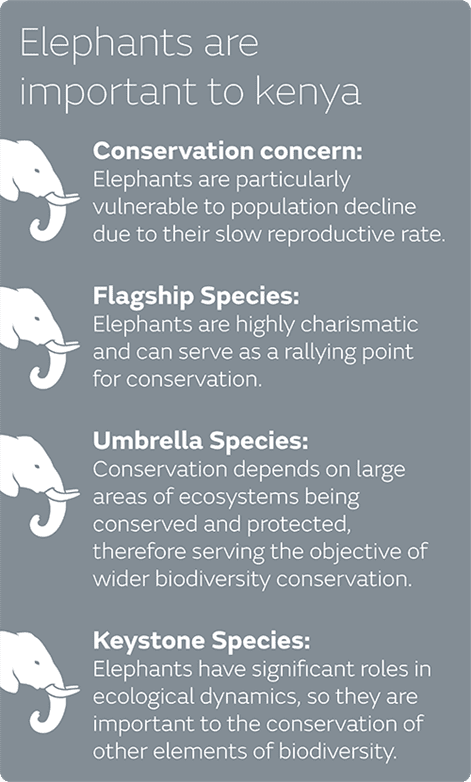 © Loisaba Conservancy (Oryx Ltd.)