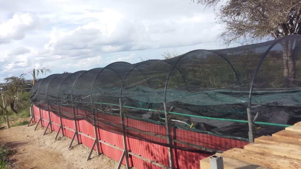 The BioDigester